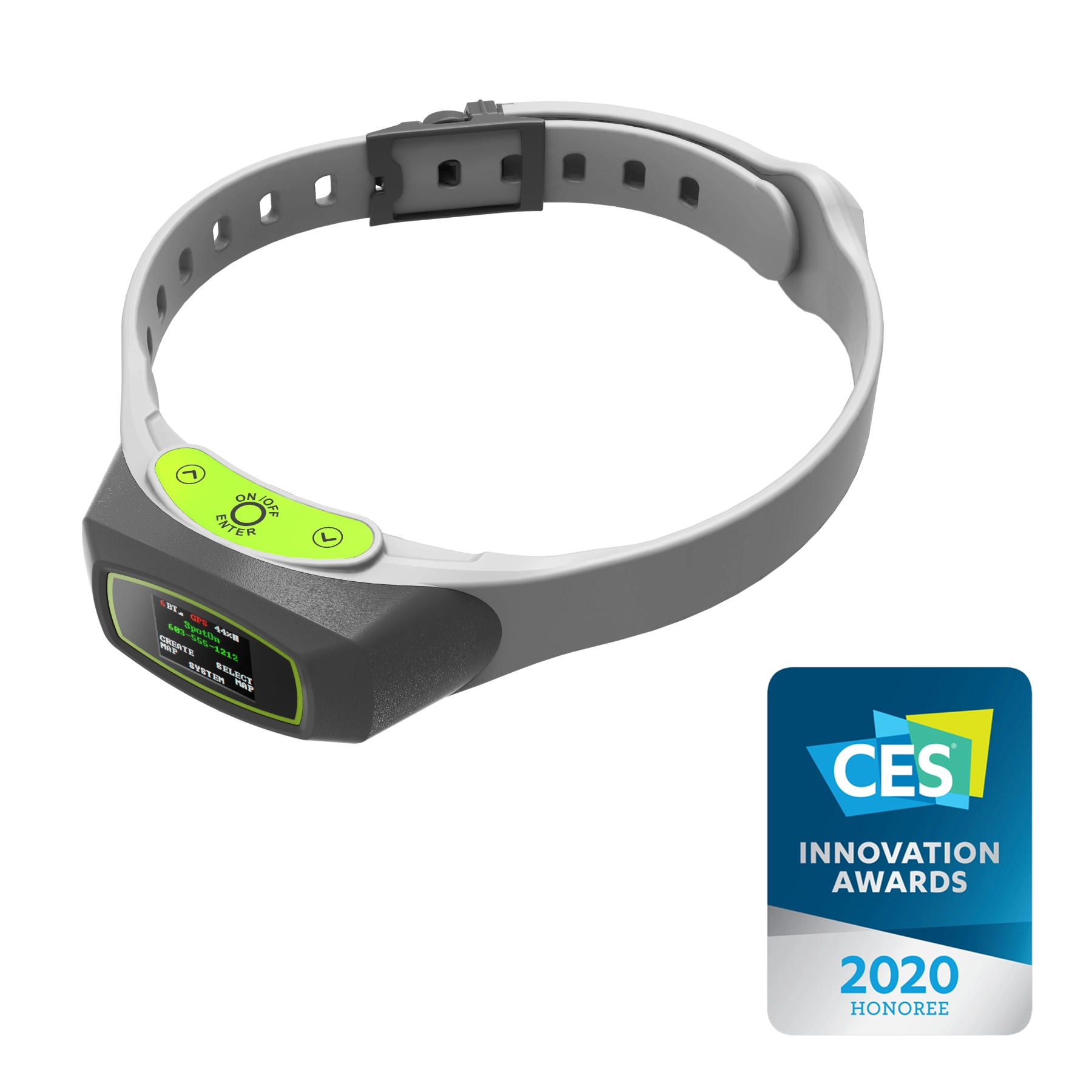 Dog collar with a CES award